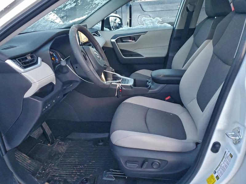 2025 TOYOTA RAV4 XLE #3311462355