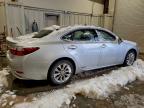 Lot #3310600336 2014 LEXUS ES 300H