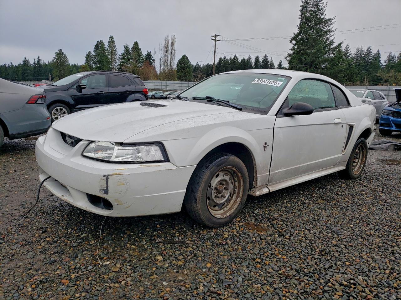 Lot #3311656267 2001 FORD MUSTANG