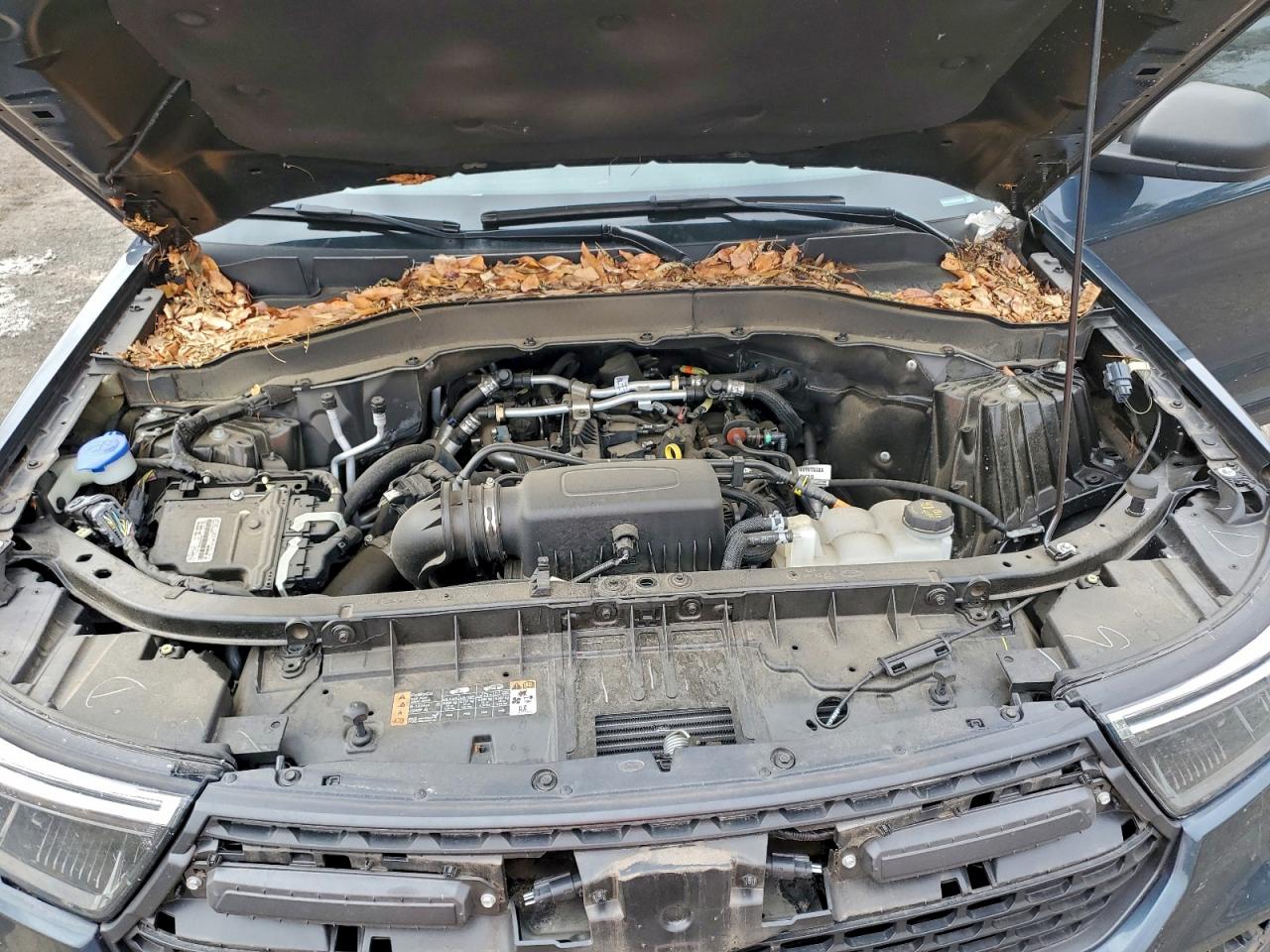 FORD EXPLORER TIMBERLINE