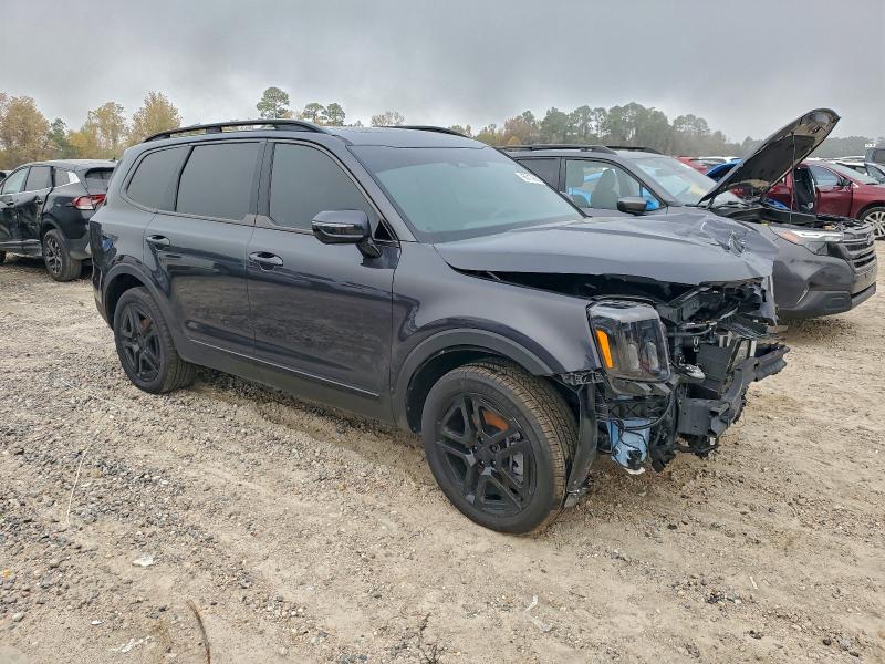 2025 KIA TELLURIDE #3312256775