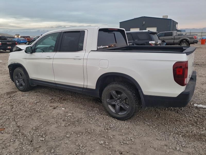 2021 HONDA RIDGELINE #3317984901