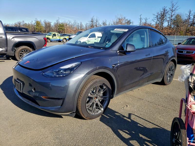 2025 TESLA MODEL Y #3317866913