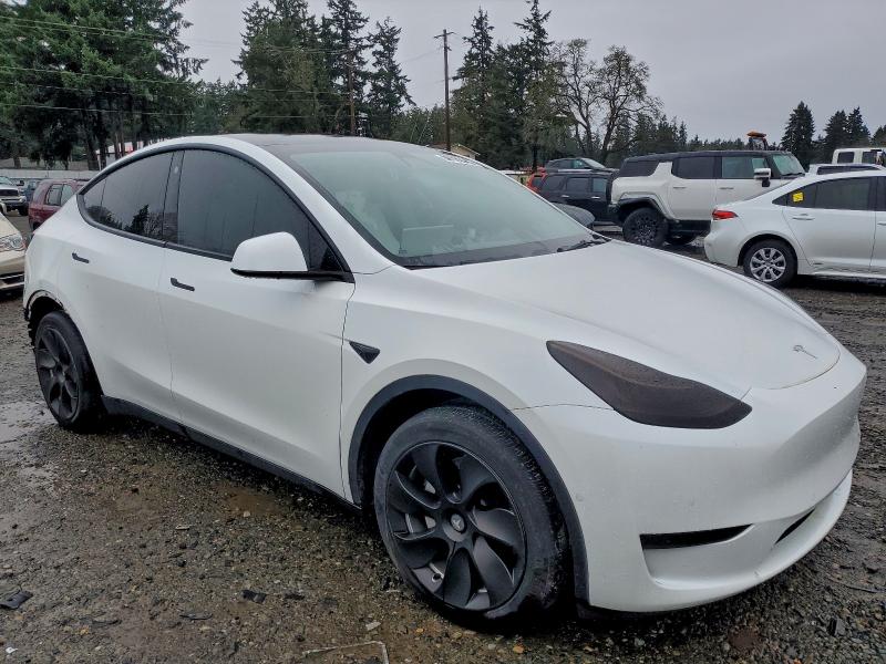 2021 TESLA MODEL Y #3311816207
