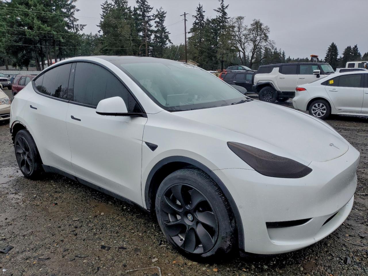 Lot #3311816207 2021 TESLA MODEL Y
