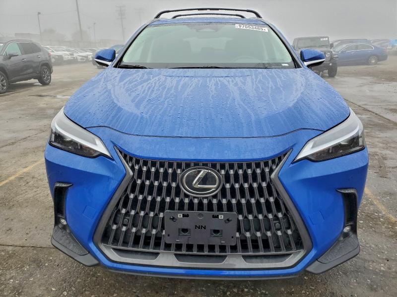 2025 LEXUS NX 250 BAS #3317689114