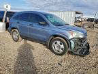 Lot #3304888538 2009 HONDA CR-V LX