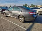 Lot #3310540081 2010 TOYOTA CAMRY BASE