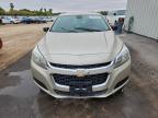 Lot #3305335300 2014 CHEVROLET MALIBU LS