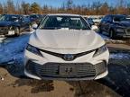 Lot #3317707084 2024 TOYOTA CAMRY LE