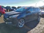 Lot #3301713397 2015 FORD ESCAPE TIT
