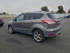 Lot #3310364014 2013 FORD ESCAPE TIT