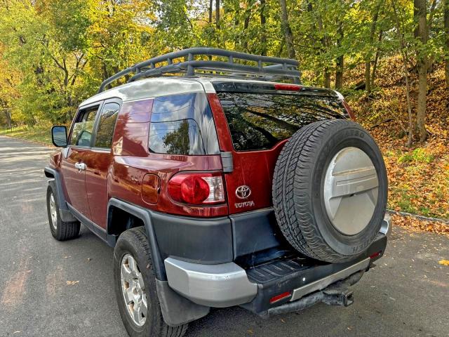 2010 TOYOTA FJ CRUISER #3305355334
