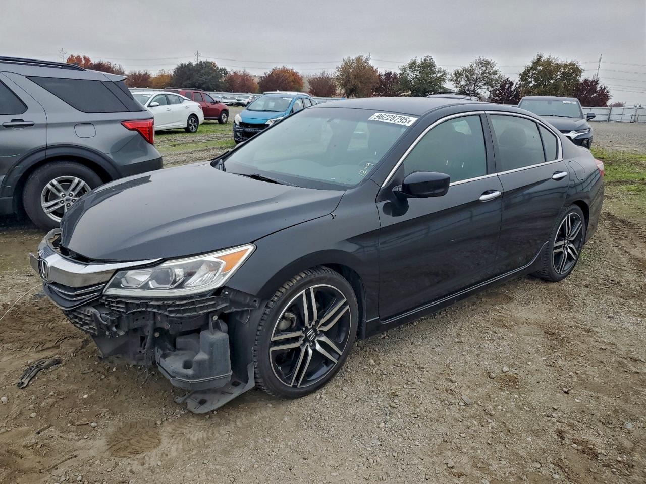Lot #3316698520 2016 HONDA ACCORD SPO