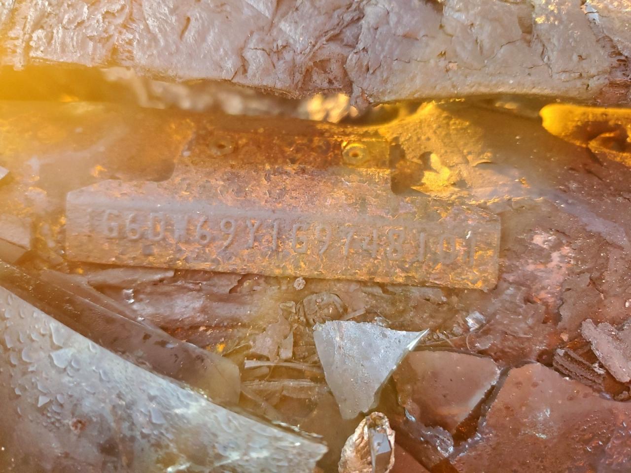 Lot #3315984221 1986 CADILLAC FLEETWOOD