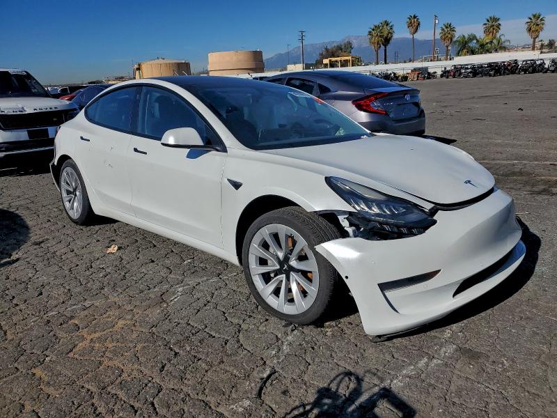 2022 TESLA MODEL 3 #3304501539