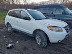 Lot #3306393551 2009 HYUNDAI SANTA FE G