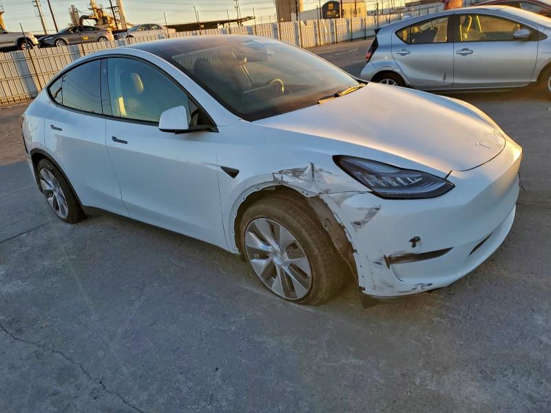 2021 TESLA MODEL Y #3309605601