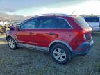 Lot #3319327978 2014 CHEVROLET CAPTIVA LS