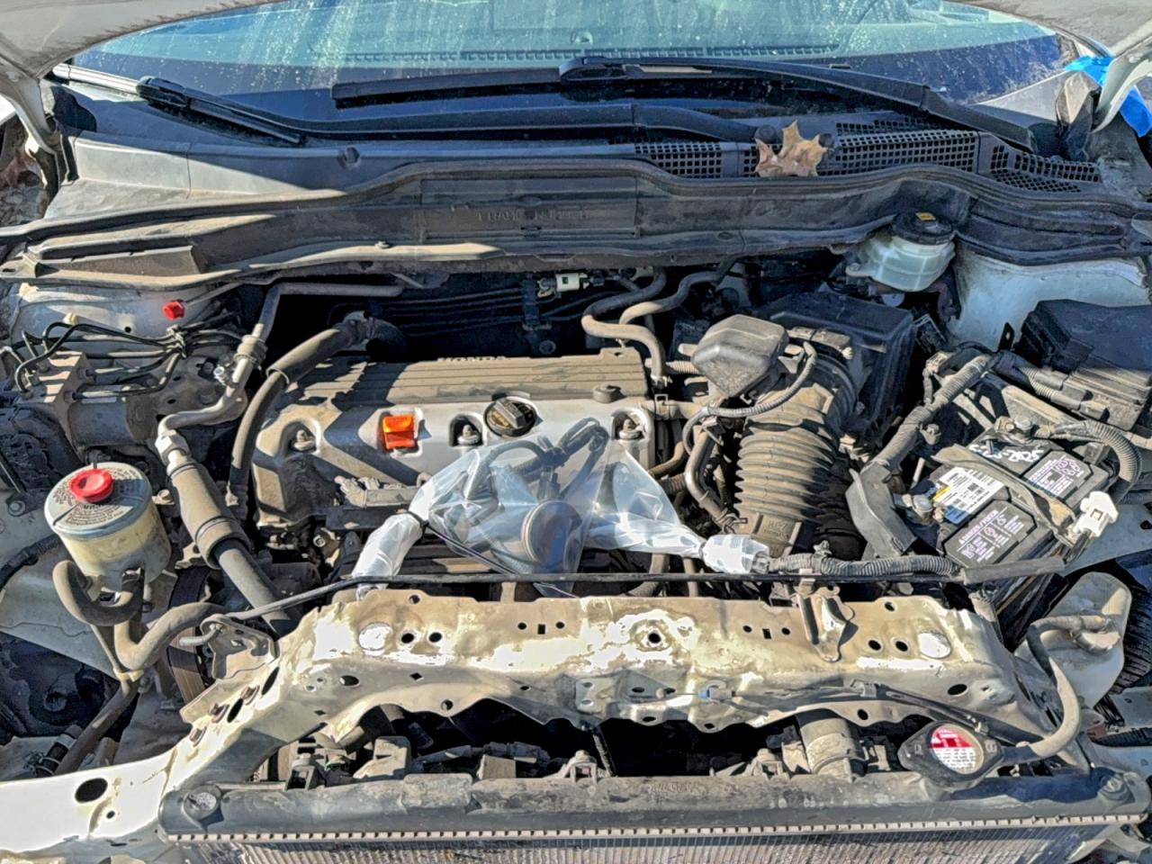 Lot #3302769345 2011 HONDA CR-V SE