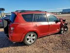 Lot #3312552852 2006 TOYOTA RAV4