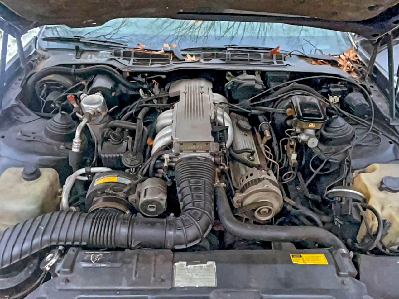 Lot #3316769411 1988 PONTIAC FIREBIRD T