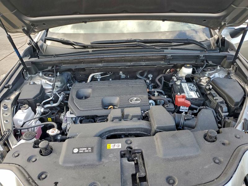 2024 LEXUS NX 250 PRE #3302853928