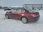 Lot #3309348014 2008 HONDA ACCORD EX
