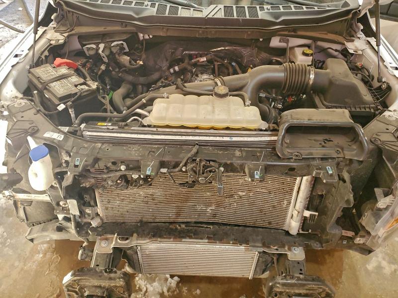 2025 FORD F150 XLT #3305762750