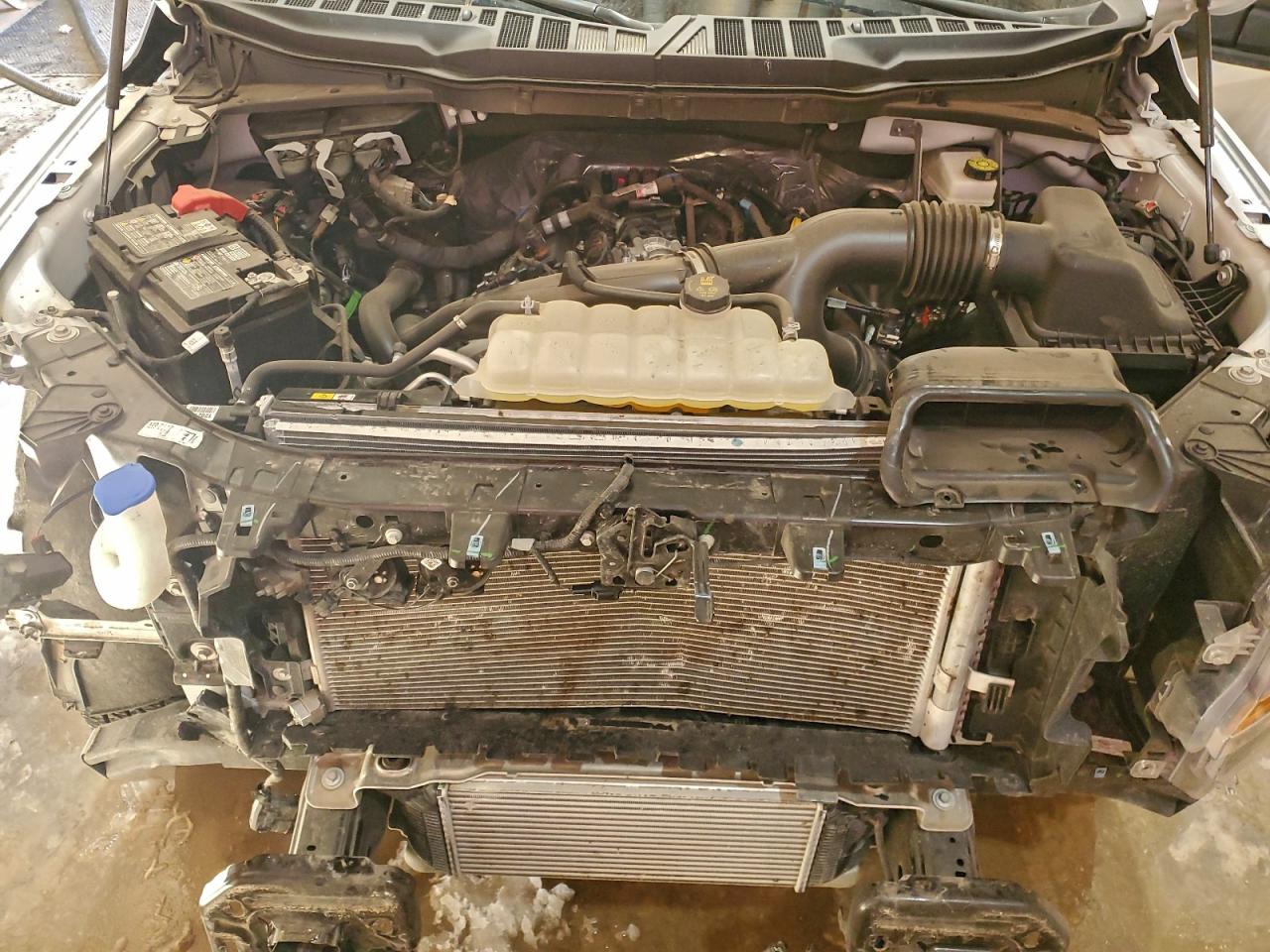 Lot #3305762750 2025 FORD F150 XLT