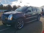 Lot #3305305336 2007 CADILLAC ESCALADE E