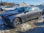 Lot #3310392985 2013 DODGE CHARGER R/