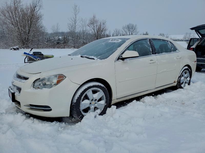2011 CHEVROLET MALIBU 1LT #3302708052