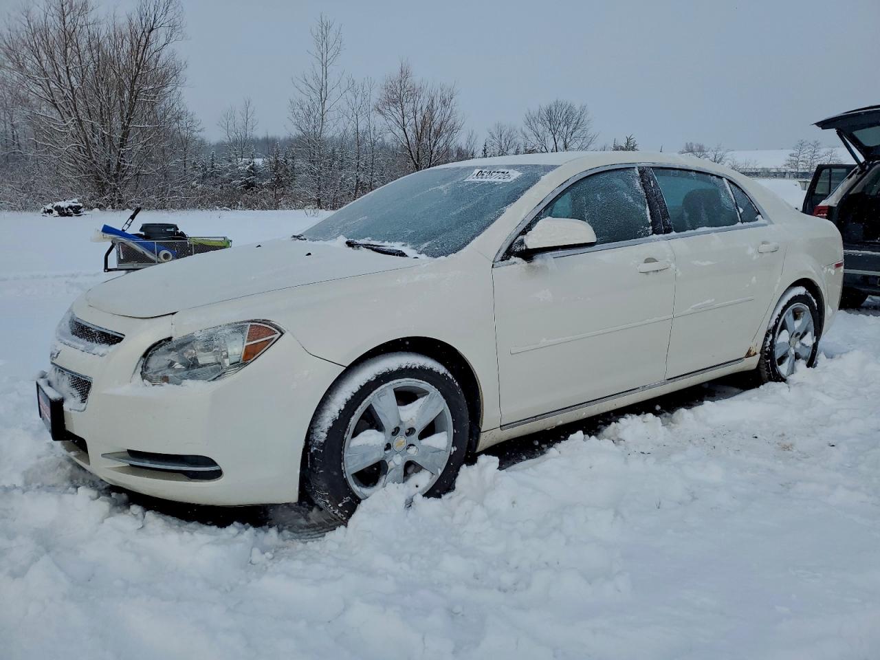 Lot #3302708052 2011 CHEVROLET MALIBU 1LT