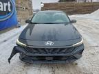 Lot #3305313309 2024 HYUNDAI ELANTRA LI