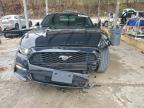 Lot #3310562112 2016 FORD MUSTANG