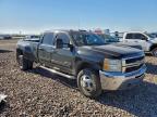 Lot #3315853157 2010 CHEVROLET SILVERADO