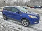 Lot #3302649044 2015 FORD ESCAPE SE