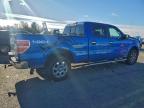 Lot #3312426637 2014 FORD F150 SUPER