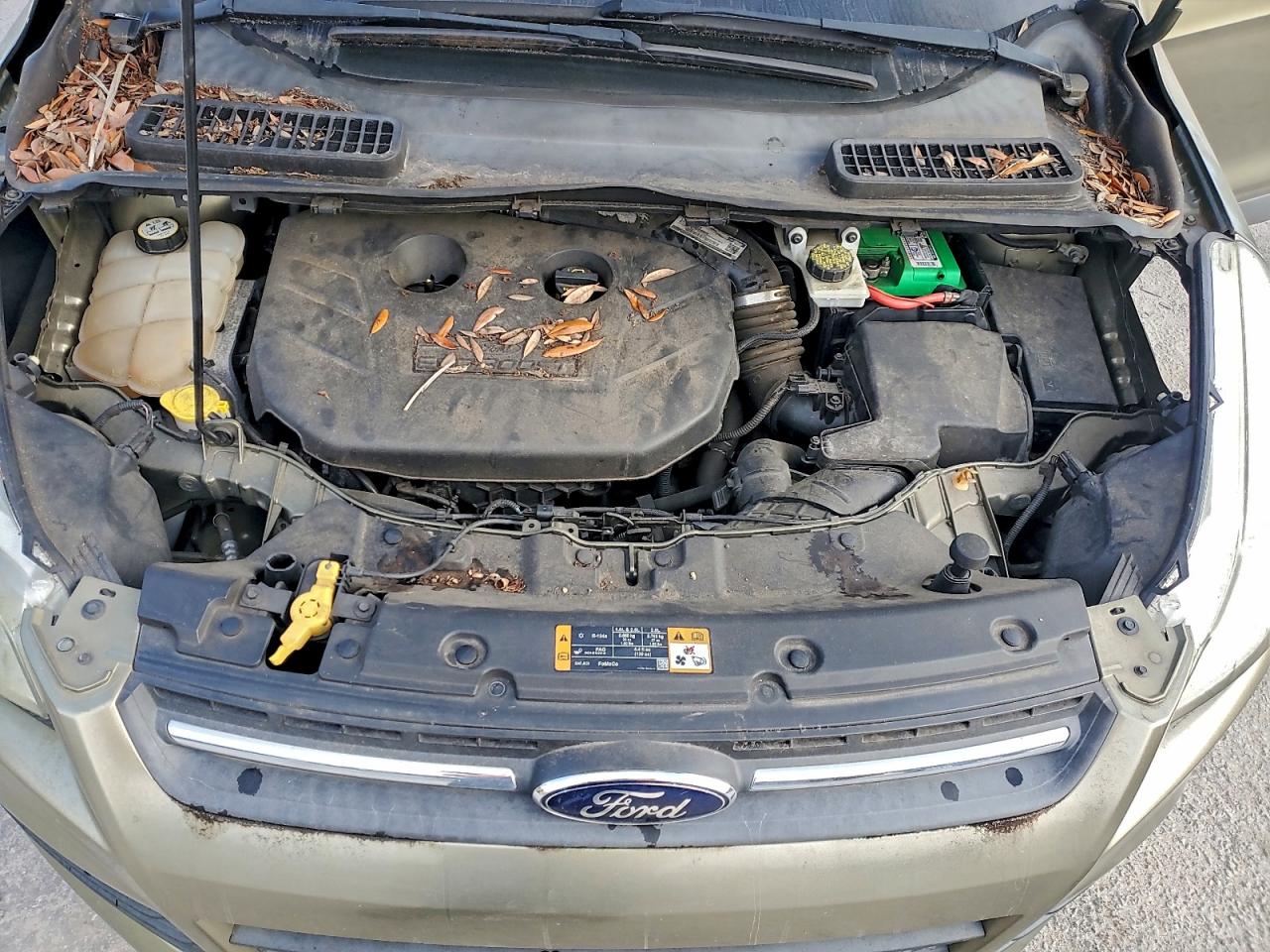 Lot #3311573263 2013 FORD ESCAPE SE