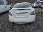Lot #3313702140 2011 NISSAN MAXIMA S
