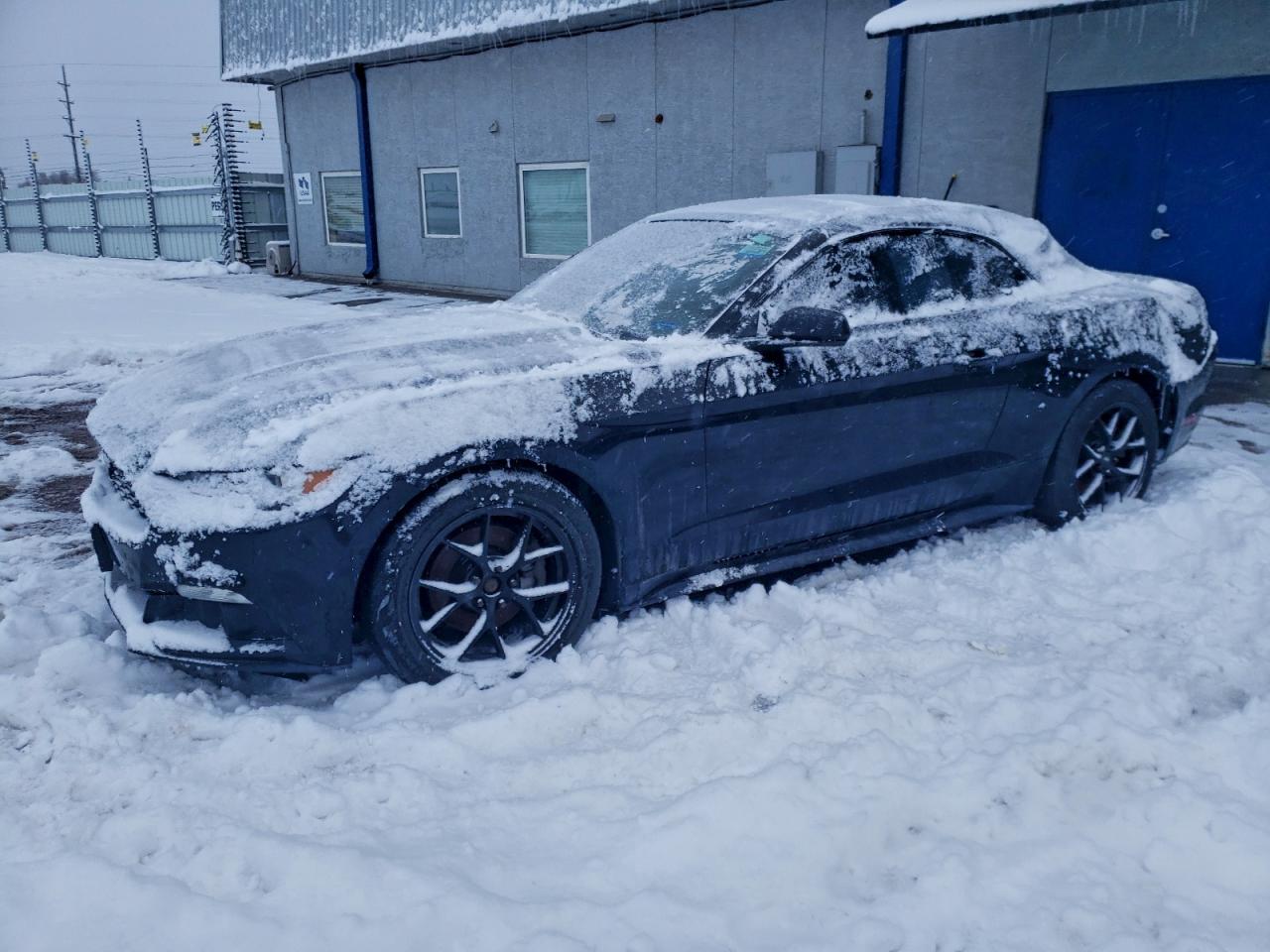 Lot #3311531261 2016 FORD MUSTANG