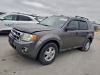 Lot #3304549456 2010 FORD ESCAPE XLT
