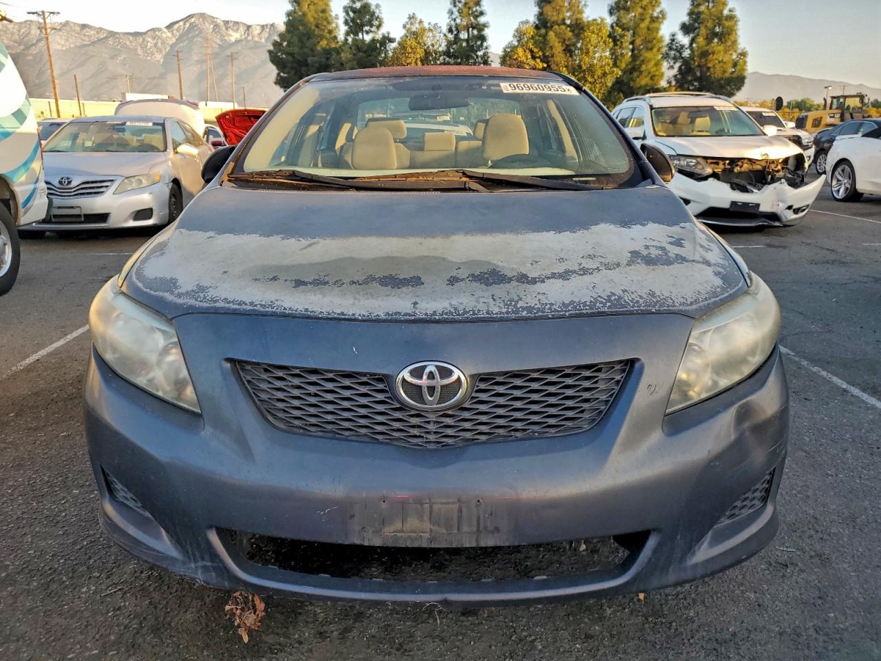 Lot #3316772442 2009 TOYOTA COROLLA BA