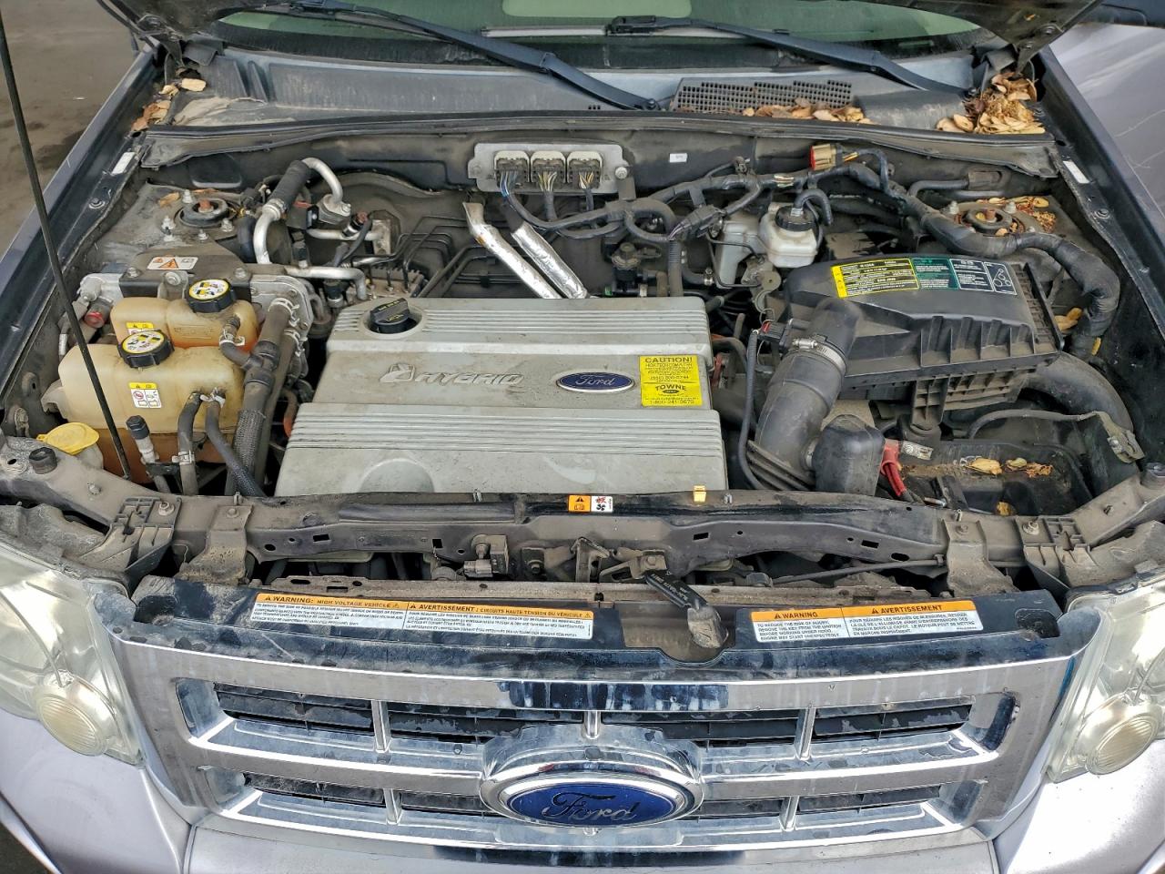 Lot #3311763338 2008 FORD ESCAPE HEV