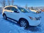 Lot #3306732781 2010 HONDA CR-V LX