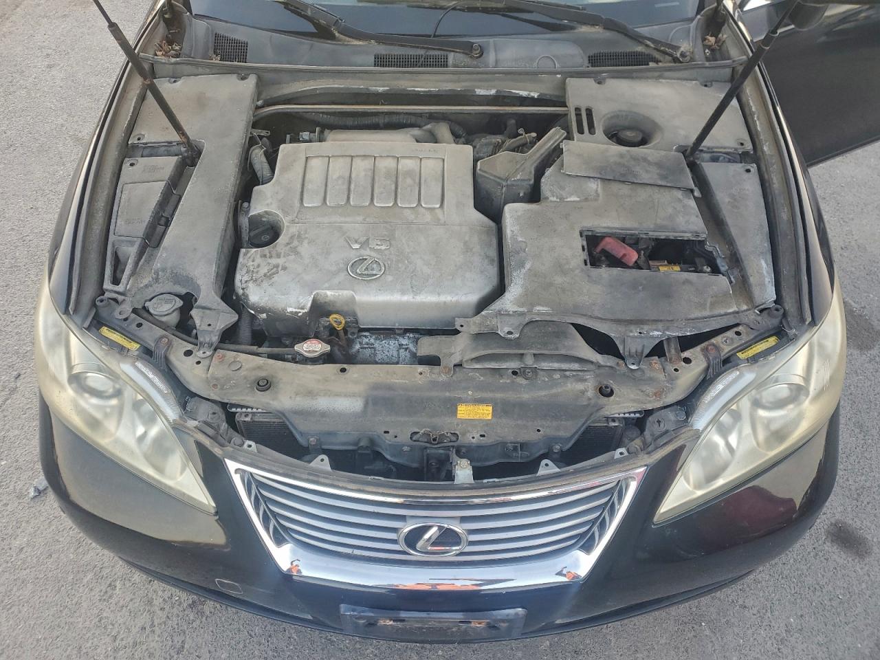 Lot #3304520446 2007 LEXUS ES 350