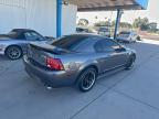 Lot #3305356332 2003 FORD MUSTANG MA