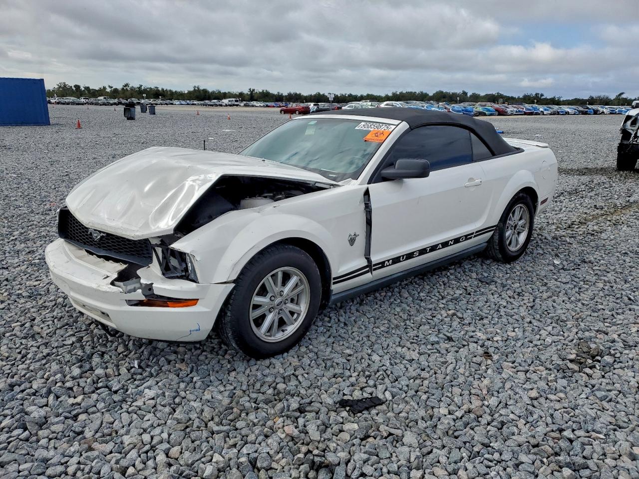 Lot #3316011811 2009 FORD MUSTANG