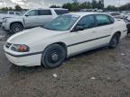 Lot #3309353985 2002 CHEVROLET IMPALA
